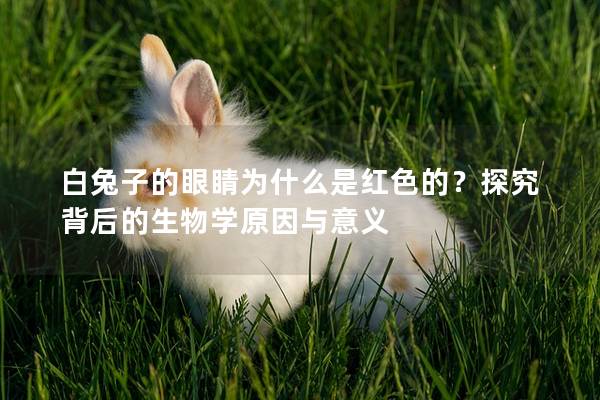 白兔子的眼睛为什么是红色的？探究背后的生物学原因与意义