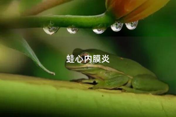 蛙心内膜炎