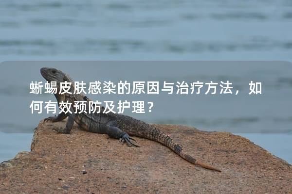 蜥蜴皮肤感染的原因与治疗方法，如何有效预防及护理？