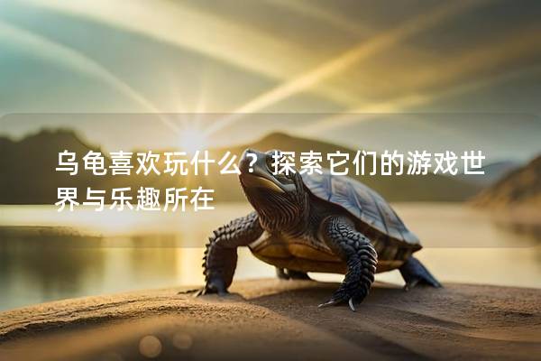 乌龟喜欢玩什么？探索它们的游戏世界与乐趣所在