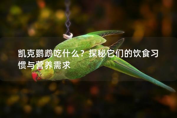 凯克鹦鹉吃什么？探秘它们的饮食习惯与营养需求