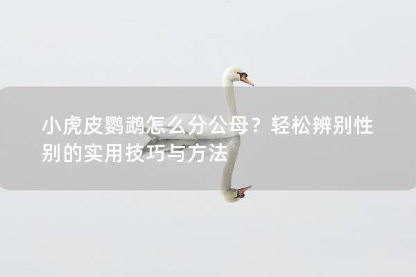 小虎皮鹦鹉怎么分公母？轻松辨别性别的实用技巧与方法