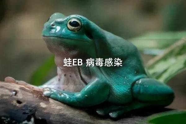 蛙EB 病毒感染