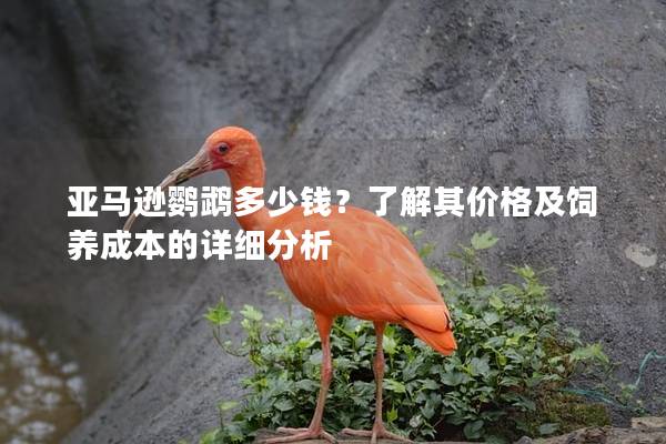 亚马逊鹦鹉多少钱？了解其价格及饲养成本的详细分析