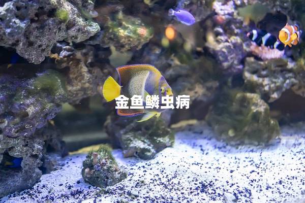 金鱼鳞虫病