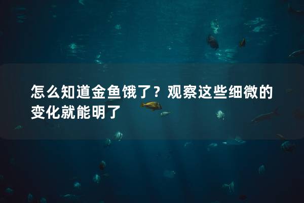 怎么知道金鱼饿了？观察这些细微的变化就能明了