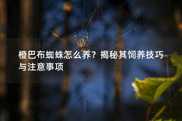 橙巴布蜘蛛怎么养？揭秘其饲养技巧与注意事项