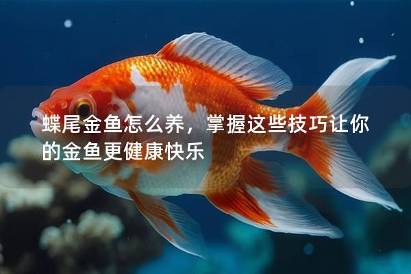 蝶尾金鱼怎么养，掌握这些技巧让你的金鱼更健康快乐