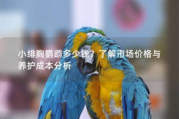 小绯胸鹦鹉多少钱？了解市场价格与养护成本分析