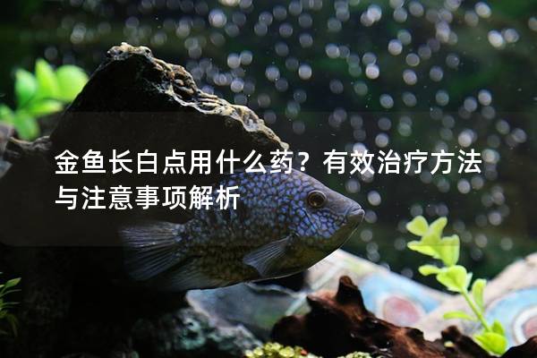 金鱼长白点用什么药？有效治疗方法与注意事项解析