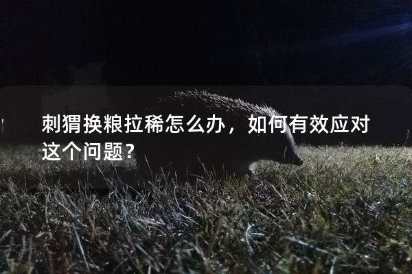 刺猬换粮拉稀怎么办，如何有效应对这个问题？