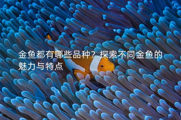 金鱼都有哪些品种？探索不同金鱼的魅力与特点