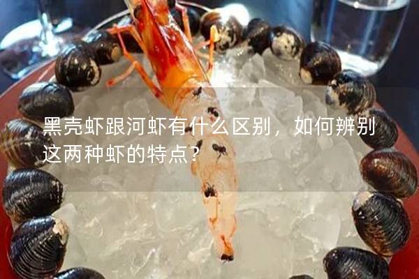 黑壳虾跟河虾有什么区别，如何辨别这两种虾的特点？