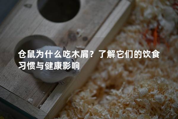 仓鼠为什么吃木屑？了解它们的饮食习惯与健康影响