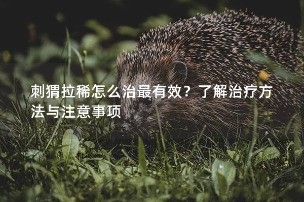 刺猬拉稀怎么治最有效？了解治疗方法与注意事项