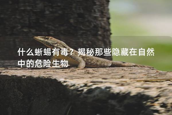 什么蜥蜴有毒？揭秘那些隐藏在自然中的危险生物