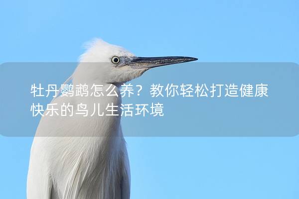 牡丹鹦鹉怎么养？教你轻松打造健康快乐的鸟儿生活环境