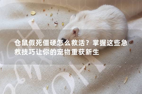 仓鼠假死僵硬怎么救活？掌握这些急救技巧让你的宠物重获新生