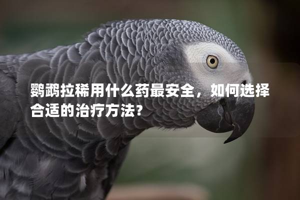 鹦鹉拉稀用什么药最安全，如何选择合适的治疗方法？