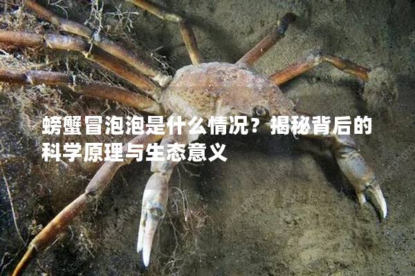 螃蟹冒泡泡是什么情况？揭秘背后的科学原理与生态意义