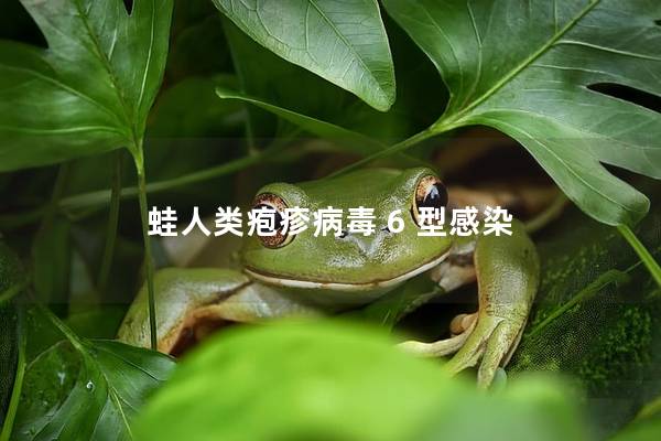 蛙人类疱疹病毒 6 型感染