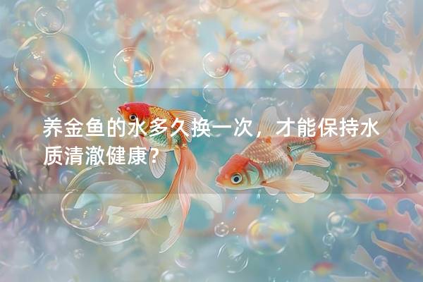 养金鱼的水多久换一次，才能保持水质清澈健康？