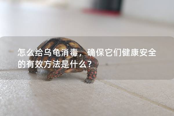 怎么给乌龟消毒，确保它们健康安全的有效方法是什么？