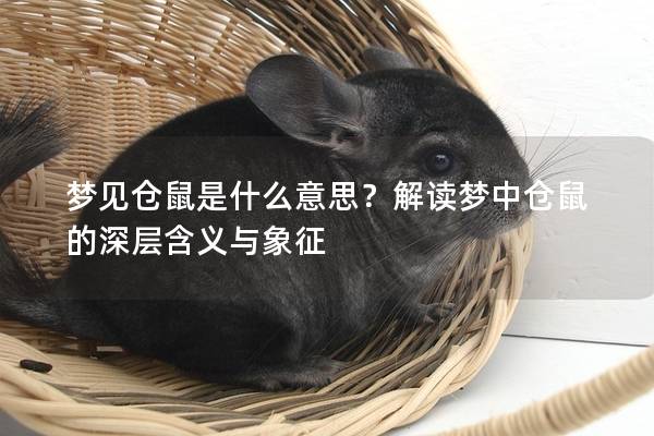 梦见仓鼠是什么意思？解读梦中仓鼠的深层含义与象征