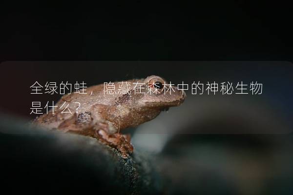 全绿的蛙，隐藏在森林中的神秘生物是什么？