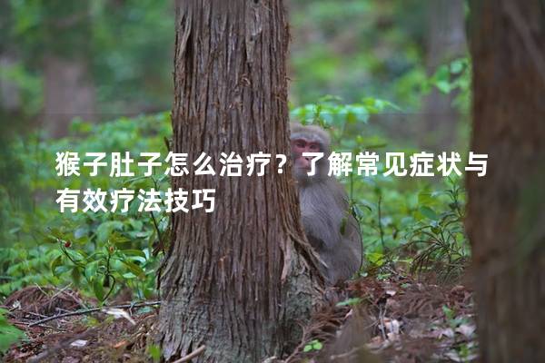 猴子肚子怎么治疗？了解常见症状与有效疗法技巧