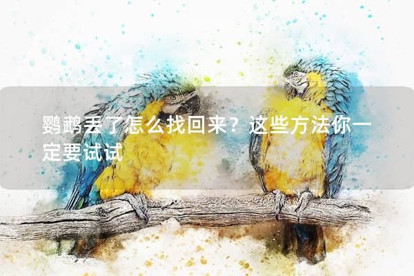 鹦鹉丢了怎么找回来？这些方法你一定要试试