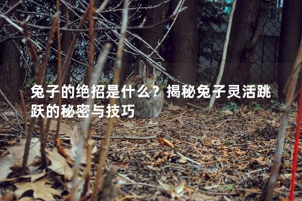 兔子的绝招是什么？揭秘兔子灵活跳跃的秘密与技巧