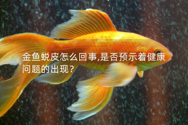 金鱼蜕皮怎么回事,是否预示着健康问题的出现？