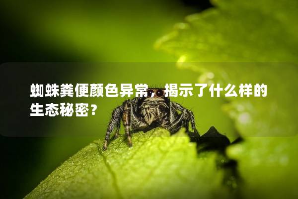 蜘蛛粪便颜色异常，揭示了什么样的生态秘密？