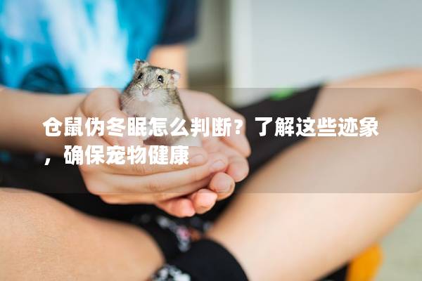 仓鼠伪冬眠怎么判断？了解这些迹象，确保宠物健康