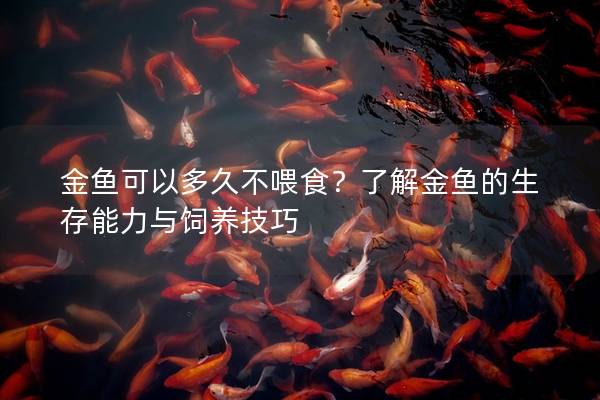 金鱼可以多久不喂食？了解金鱼的生存能力与饲养技巧