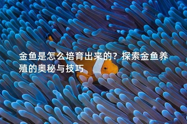 金鱼是怎么培育出来的？探索金鱼养殖的奥秘与技巧