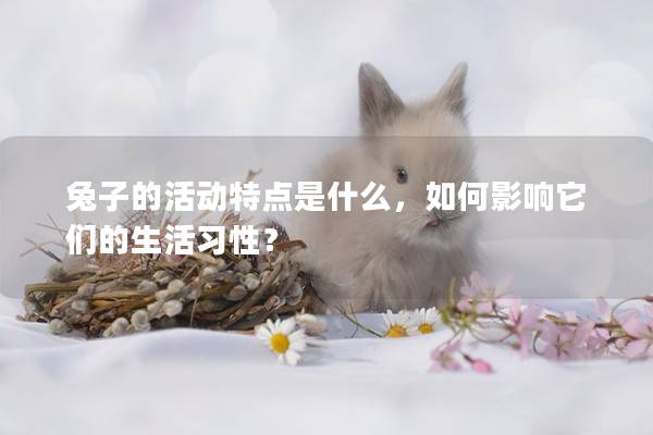 兔子的活动特点是什么，如何影响它们的生活习性？