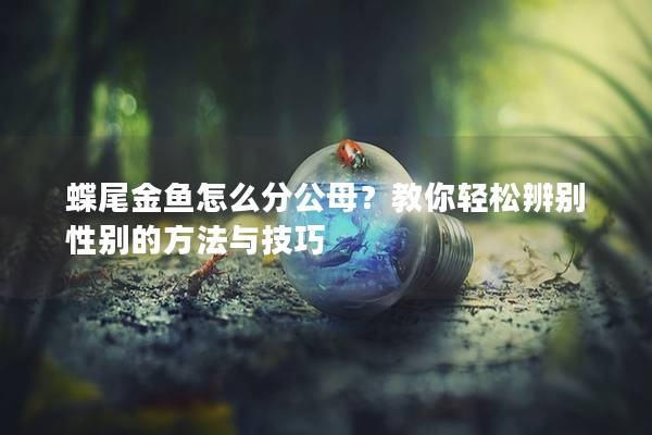 蝶尾金鱼怎么分公母？教你轻松辨别性别的方法与技巧