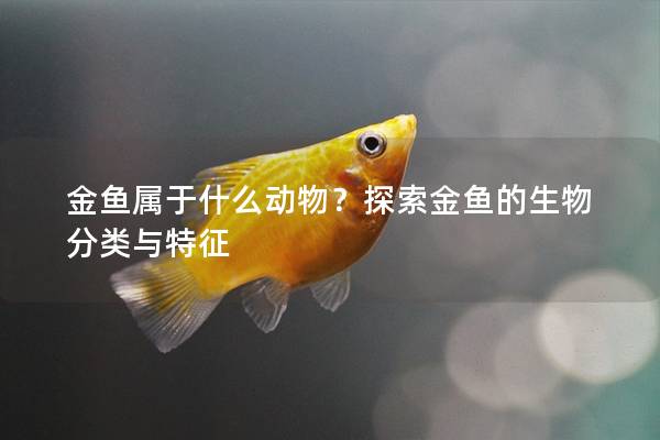 金鱼属于什么动物？探索金鱼的生物分类与特征