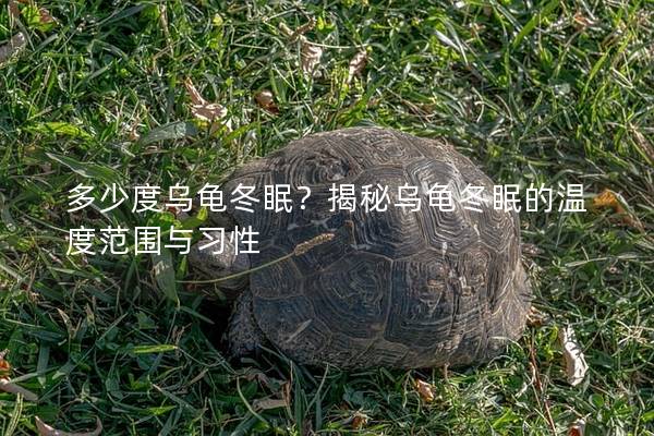 多少度乌龟冬眠？揭秘乌龟冬眠的温度范围与习性