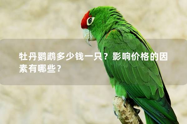 牡丹鹦鹉多少钱一只？影响价格的因素有哪些？