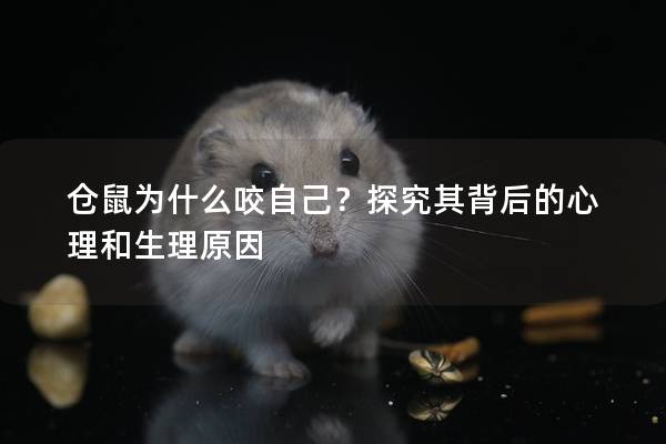 仓鼠为什么咬自己？探究其背后的心理和生理原因