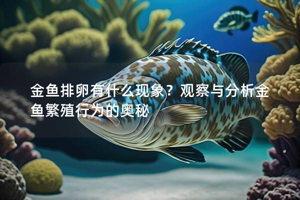 金鱼排卵有什么现象？观察与分析金鱼繁殖行为的奥秘