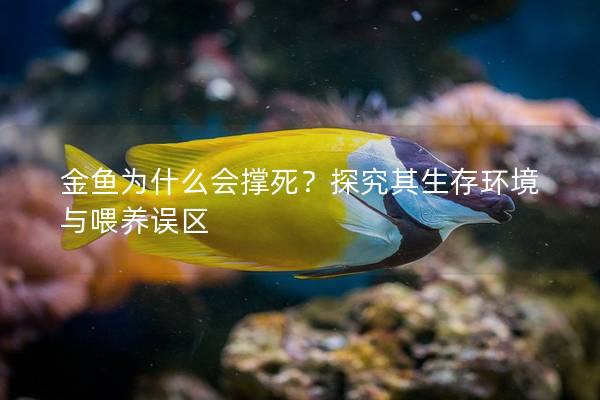 金鱼为什么会撑死？探究其生存环境与喂养误区