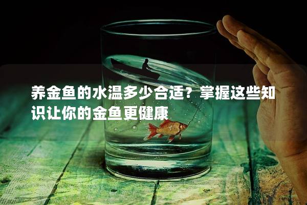 养金鱼的水温多少合适？掌握这些知识让你的金鱼更健康