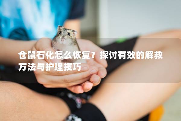 仓鼠石化怎么恢复？探讨有效的解救方法与护理技巧