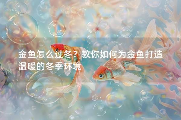 金鱼怎么过冬？教你如何为金鱼打造温暖的冬季环境