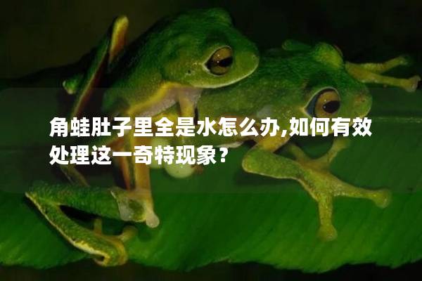 角蛙肚子里全是水怎么办,如何有效处理这一奇特现象？