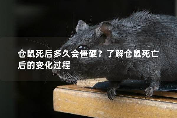 仓鼠死后多久会僵硬？了解仓鼠死亡后的变化过程